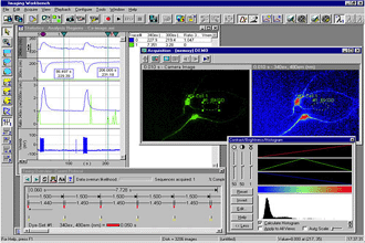 INDEC Biosystems